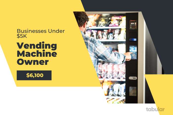 Business under 5k - vending machine owner.